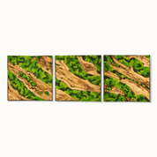 Custom Made Moss And Olive Wood Wall Art In Metal Frame BlackSeaResinWorks