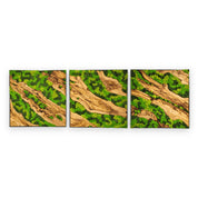 Set of 3 Moss and Olive Wood Wall Art | 3 Piece Framed Moss Wall Decor