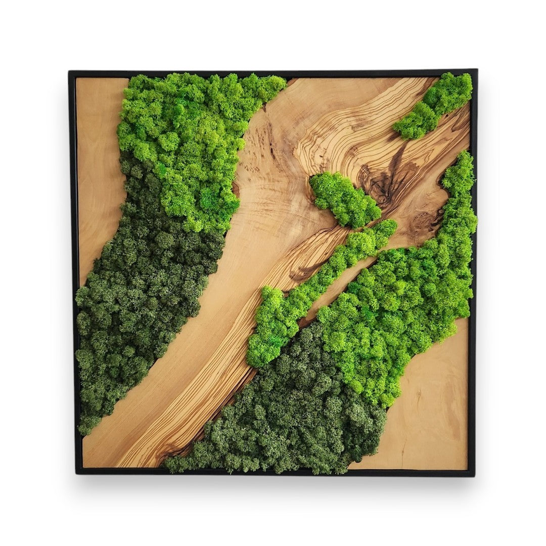 forest-fusion-4104616_1.jpg