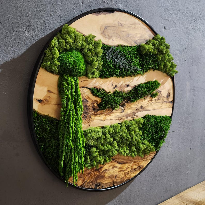 Olive Wood & Preserved Moss Wall Art