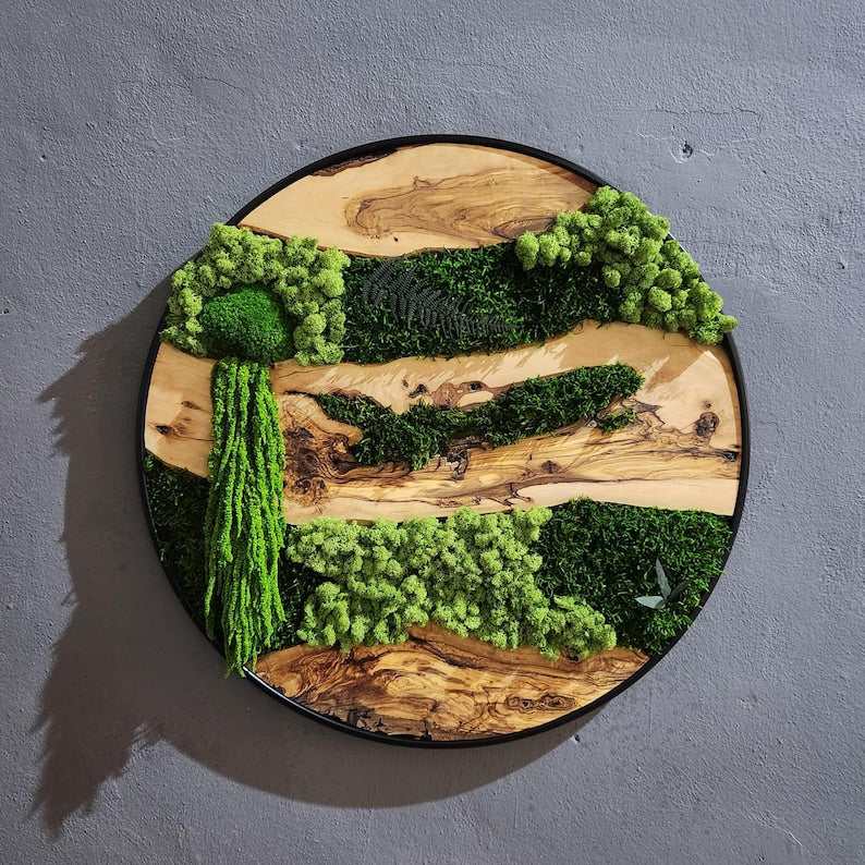 Olive Wood & Preserved Moss Wall Art