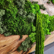 Moss And Olive Wood Wall Art Rustic Greenery Decor For Home BlackSeaResinWorks