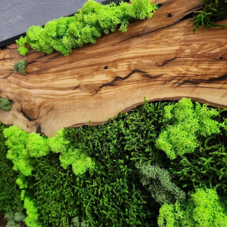 Moss And Olive Wood Wall Art Rustic Greenery Decor For Home BlackSeaResinWorks