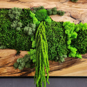 Moss And Olive Wood Wall Art Rustic Greenery Decor For Home BlackSeaResinWorks