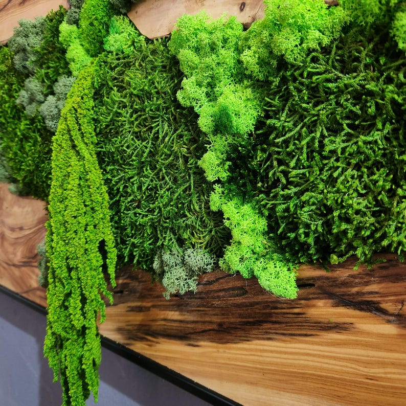 Moss And Olive Wood Wall Art Rustic Greenery Decor For Home BlackSeaResinWorks