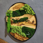 Olive Wood & Preserved Moss Wall Art