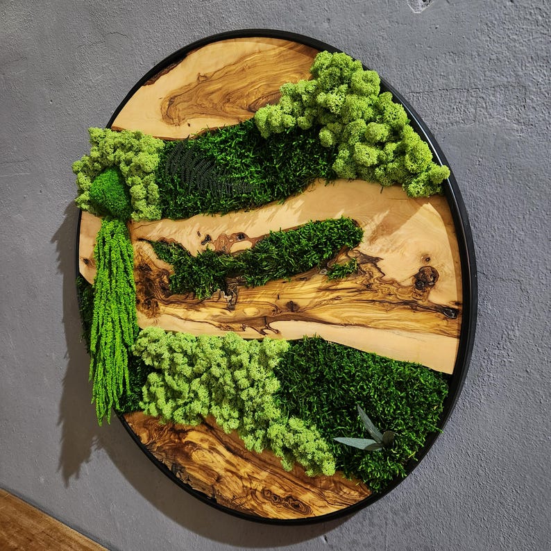 Olive Wood & Preserved Moss Wall Art