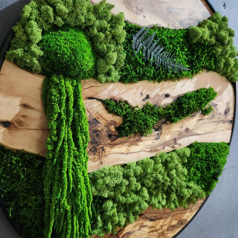 Olive Wood & Preserved Moss Wall Art