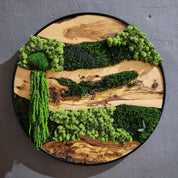 Olive Wood & Preserved Moss Wall Art