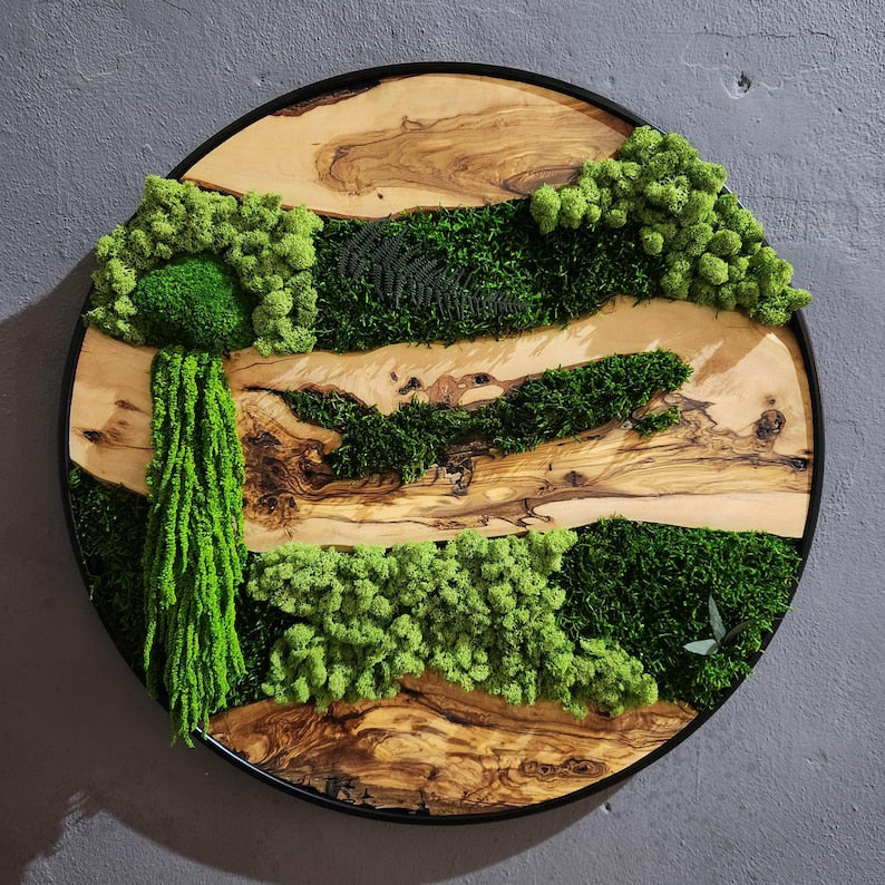 Olive Wood & Preserved Moss Wall Art