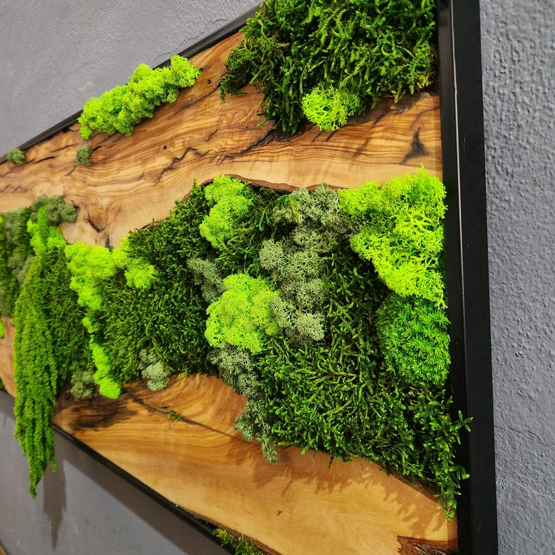 Moss And Olive Wood Wall Art Rustic Greenery Decor For Home BlackSeaResinWorks