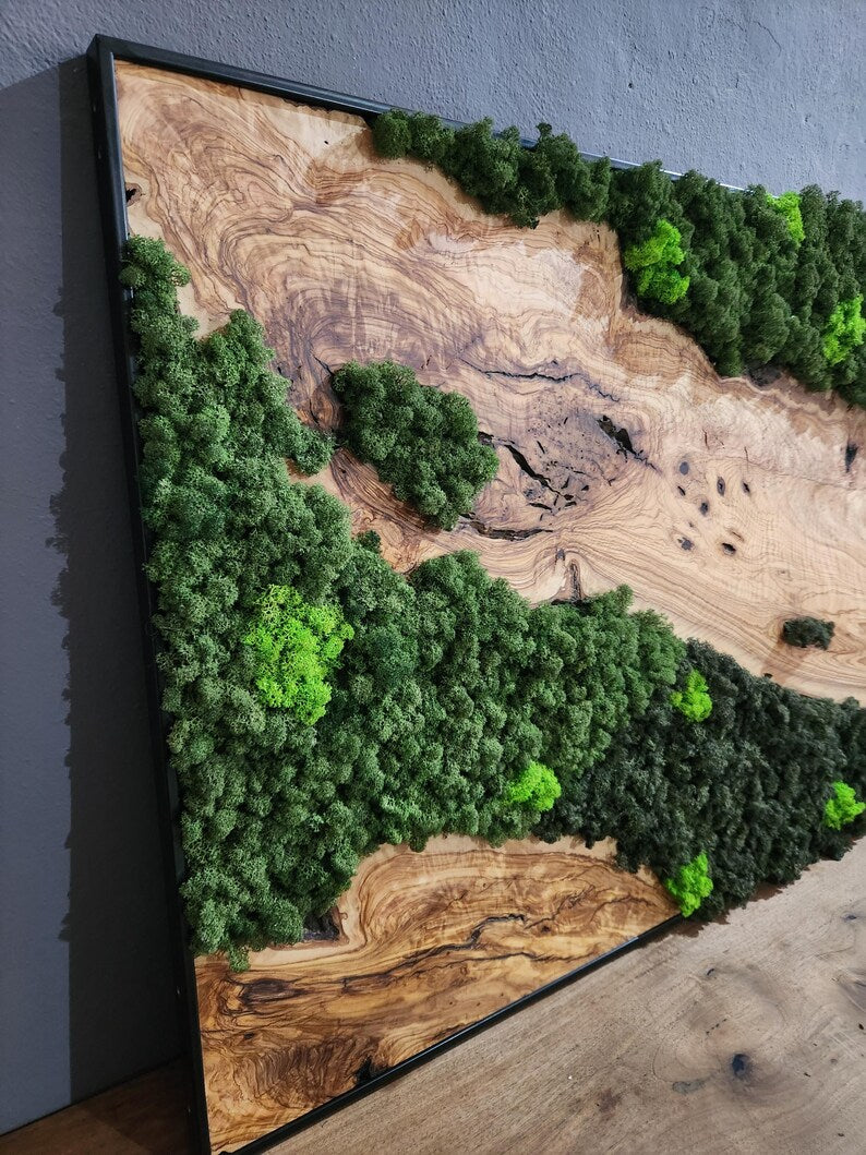 Olive Wood & Preserved Moss Wall Art: Rustic Greenery Decor