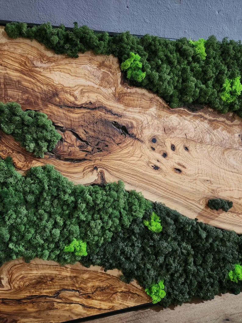 Olive Wood & Preserved Moss Wall Art: Rustic Greenery Decor