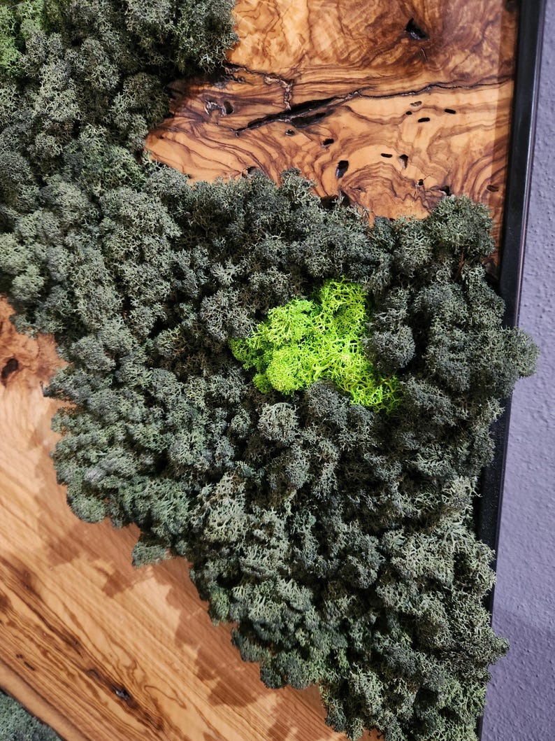 Olive Wood & Preserved Moss Wall Art: Rustic Greenery Decor