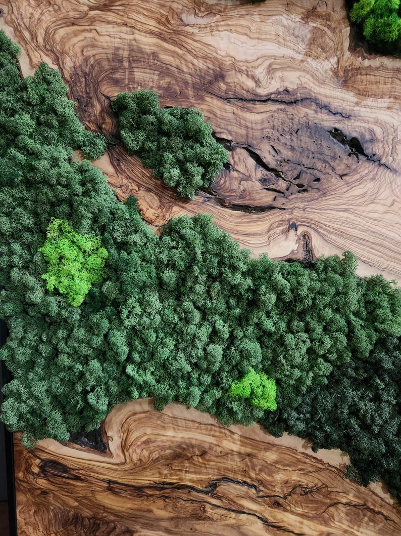 Olive Wood & Preserved Moss Wall Art: Rustic Greenery Decor