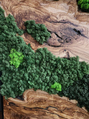 Olive Wood & Preserved Moss Wall Art: Rustic Greenery Decor