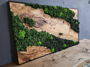 Olive Wood & Preserved Moss Wall Art: Rustic Greenery Decor