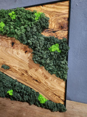 Olive Wood & Preserved Moss Wall Art: Rustic Greenery Decor