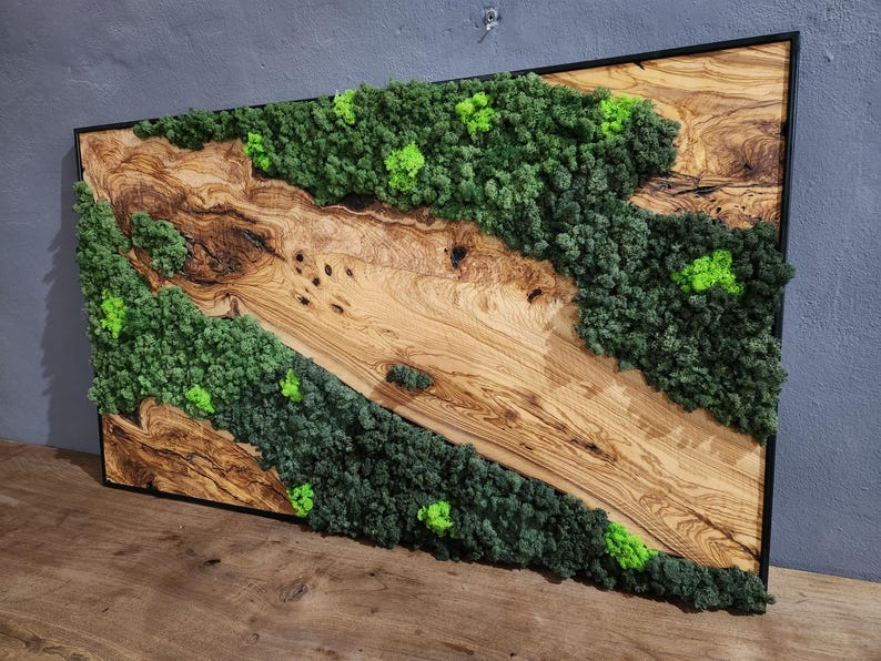 Olive Wood & Preserved Moss Wall Art: Rustic Greenery Decor