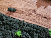 Olive Wood & Preserved Moss Wall Art: Rustic Greenery Decor