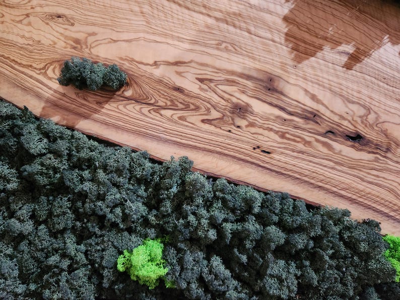Olive Wood & Preserved Moss Wall Art: Rustic Greenery Decor