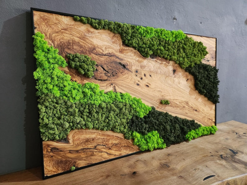 Handcrafted Moss & Olive Wood Wall Art | Rustic Greenery Decor