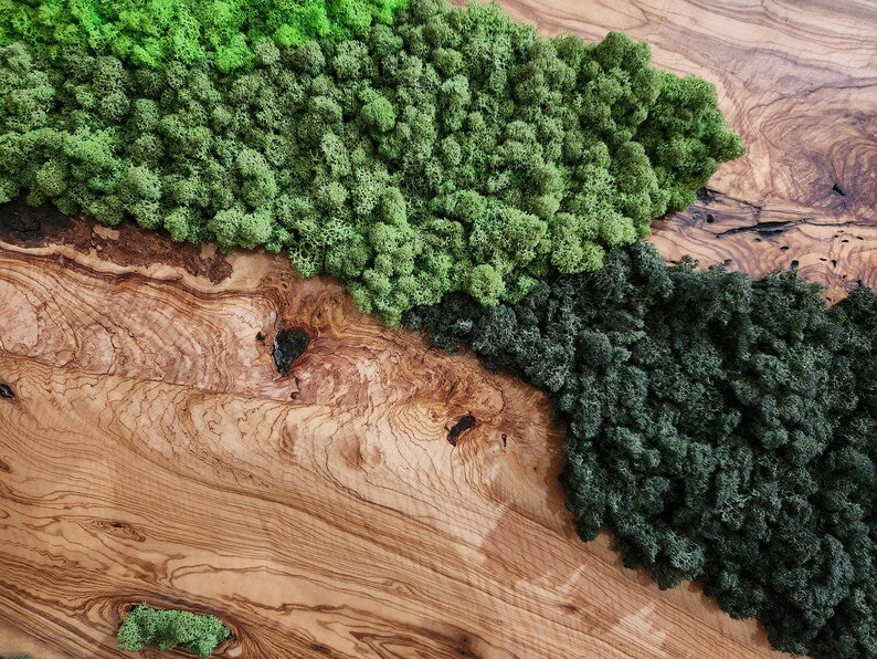 Handcrafted Moss & Olive Wood Wall Art | Rustic Greenery Decor