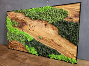 Handcrafted Moss & Olive Wood Wall Art | Rustic Greenery Decor