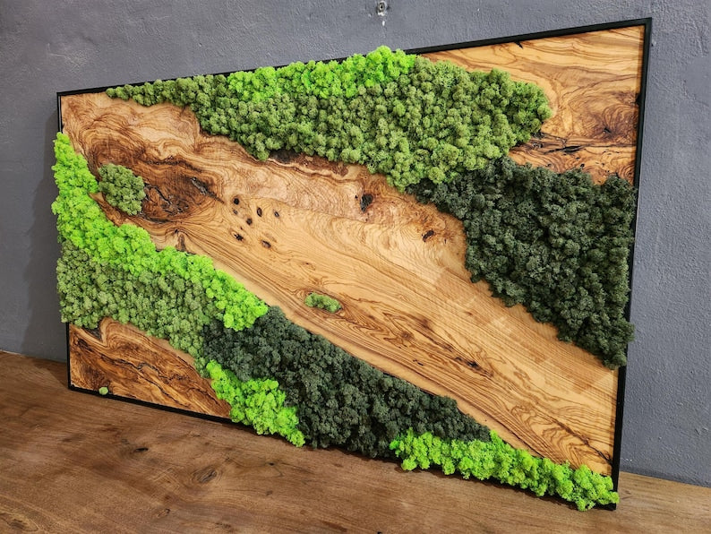 Handcrafted Moss & Olive Wood Wall Art | Rustic Greenery Decor
