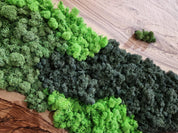 Handcrafted Moss & Olive Wood Wall Art | Rustic Greenery Decor