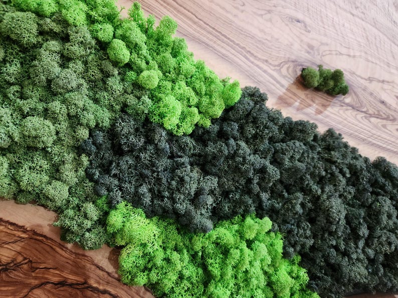 Handcrafted Moss & Olive Wood Wall Art | Rustic Greenery Decor