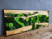 oasis & Wood Wall Art, Unique Custom Made Olive Wood And Moss Wall Decor, Rustic Greenery Decor, Hotel Lobby Wall Art Decor, Home Wall Decor BlackSeaResinWorks