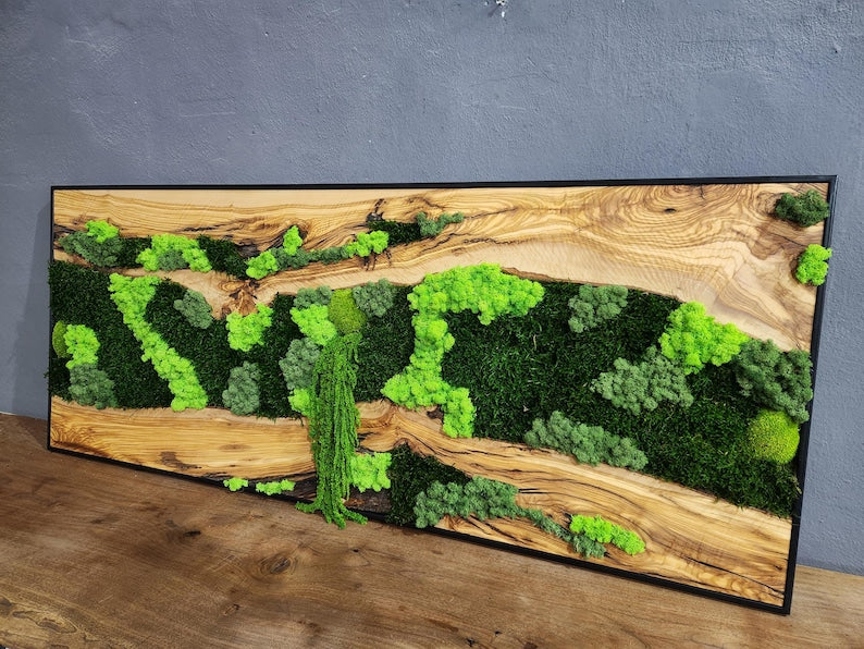 oasis & Wood Wall Art, Unique Custom Made Olive Wood And Moss Wall Decor, Rustic Greenery Decor, Hotel Lobby Wall Art Decor, Home Wall Decor BlackSeaResinWorks