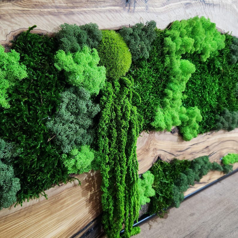 oasis & Wood Wall Art, Unique Custom Made Olive Wood And Moss Wall Decor, Rustic Greenery Decor, Hotel Lobby Wall Art Decor, Home Wall Decor BlackSeaResinWorks