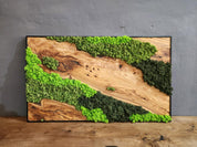 Handcrafted Moss & Olive Wood Wall Art | Rustic Greenery Decor