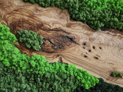 Handcrafted Moss & Olive Wood Wall Art | Rustic Greenery Decor