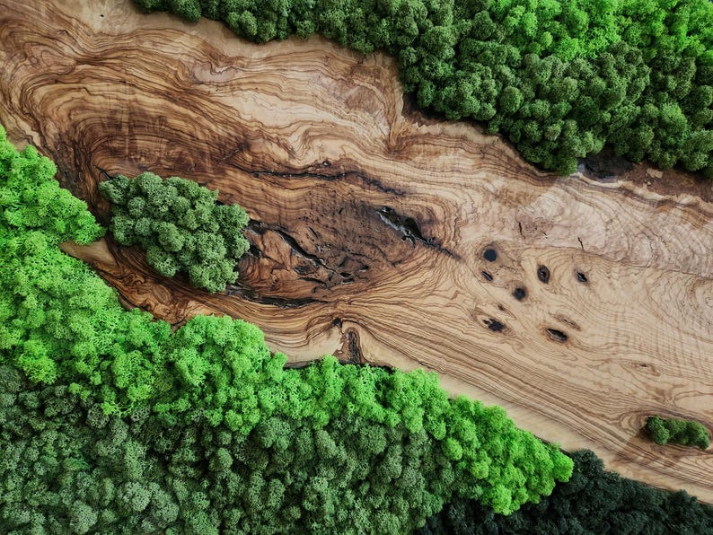 Handcrafted Moss & Olive Wood Wall Art | Rustic Greenery Decor