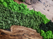 Handcrafted Moss & Olive Wood Wall Art | Rustic Greenery Decor