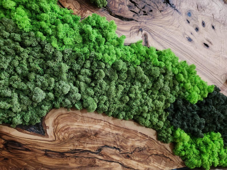Handcrafted Moss & Olive Wood Wall Art | Rustic Greenery Decor