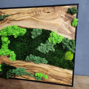 oasis & Wood Wall Art, Unique Custom Made Olive Wood And Moss Wall Decor, Rustic Greenery Decor, Hotel Lobby Wall Art Decor, Home Wall Decor BlackSeaResinWorks