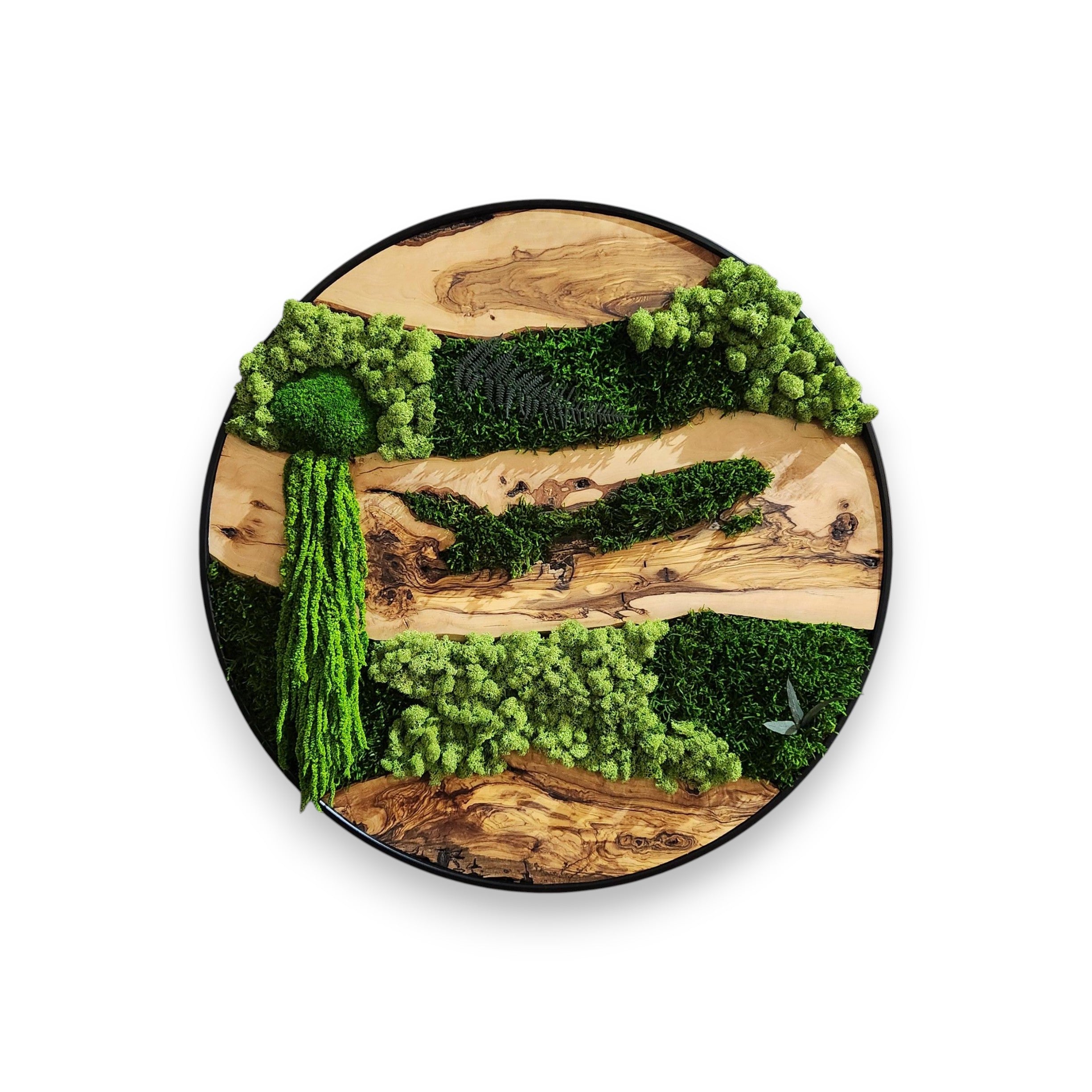 Olive Wood & Preserved Moss Wall Art
