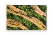 Moss & Wood Wall Art | Unique Custom Made Olive Wood And Moss Wall Decor