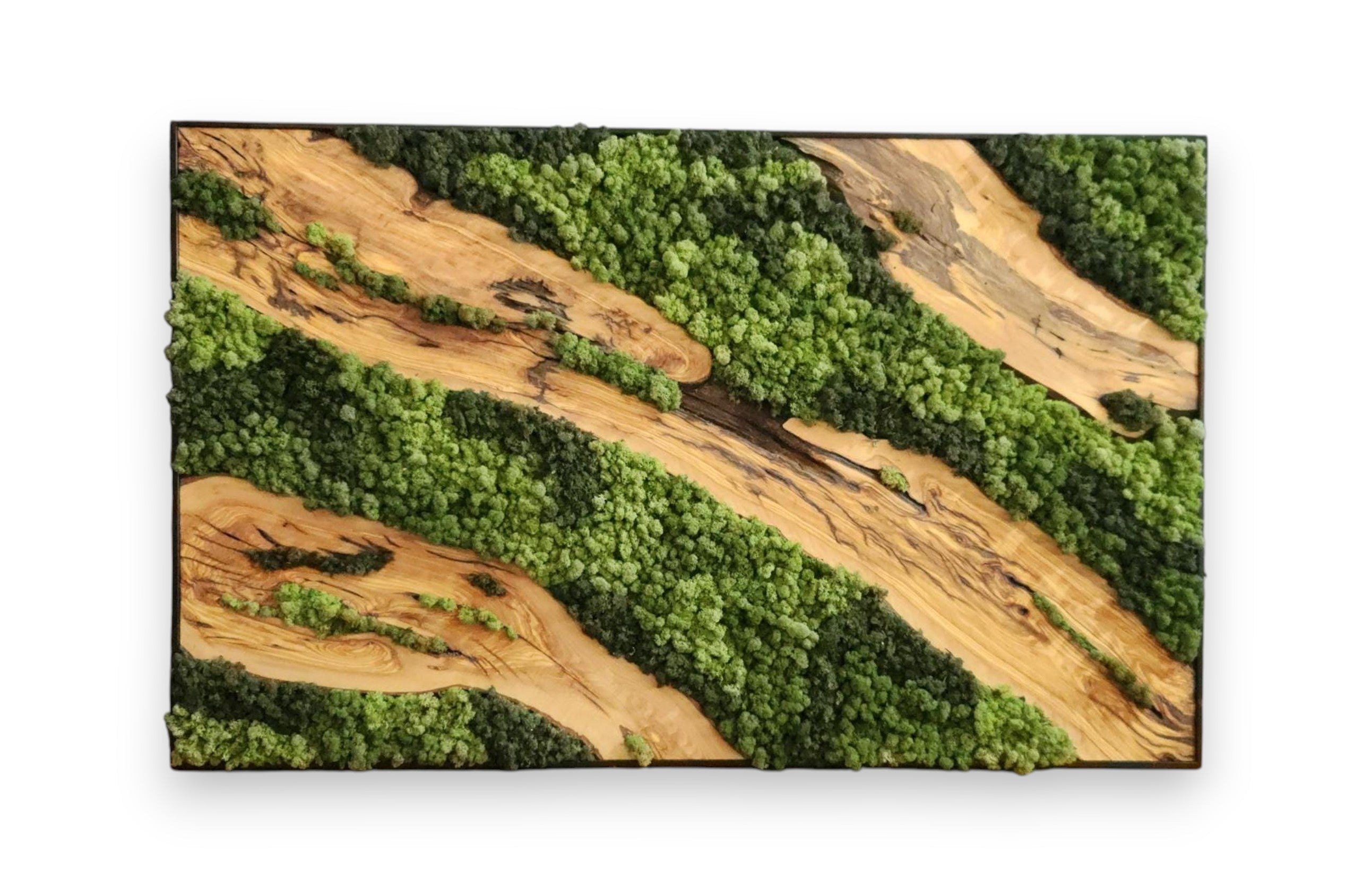 Moss & Wood Wall Art | Unique Custom Made Olive Wood And Moss Wall Decor