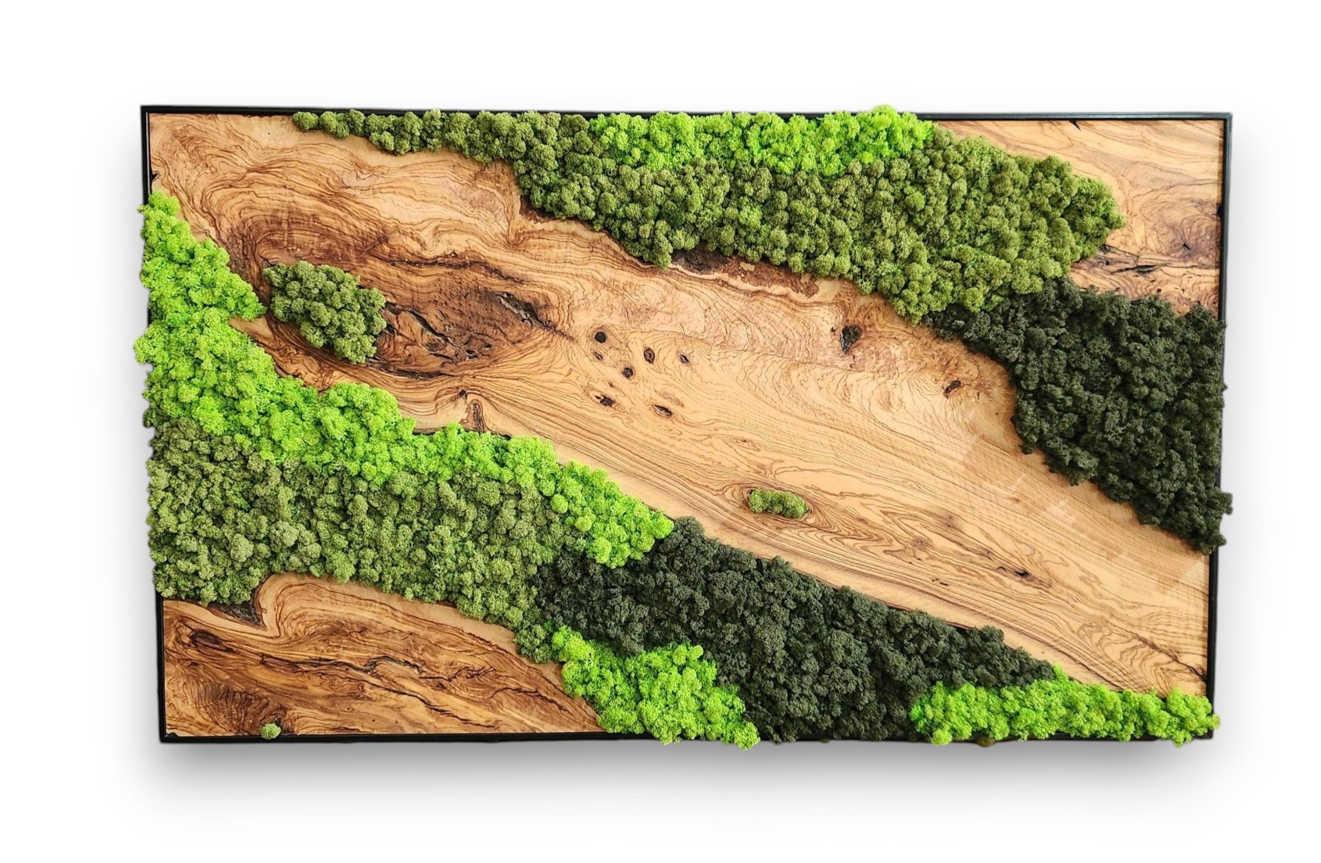 Handcrafted Moss & Olive Wood Wall Art | Rustic Greenery Decor