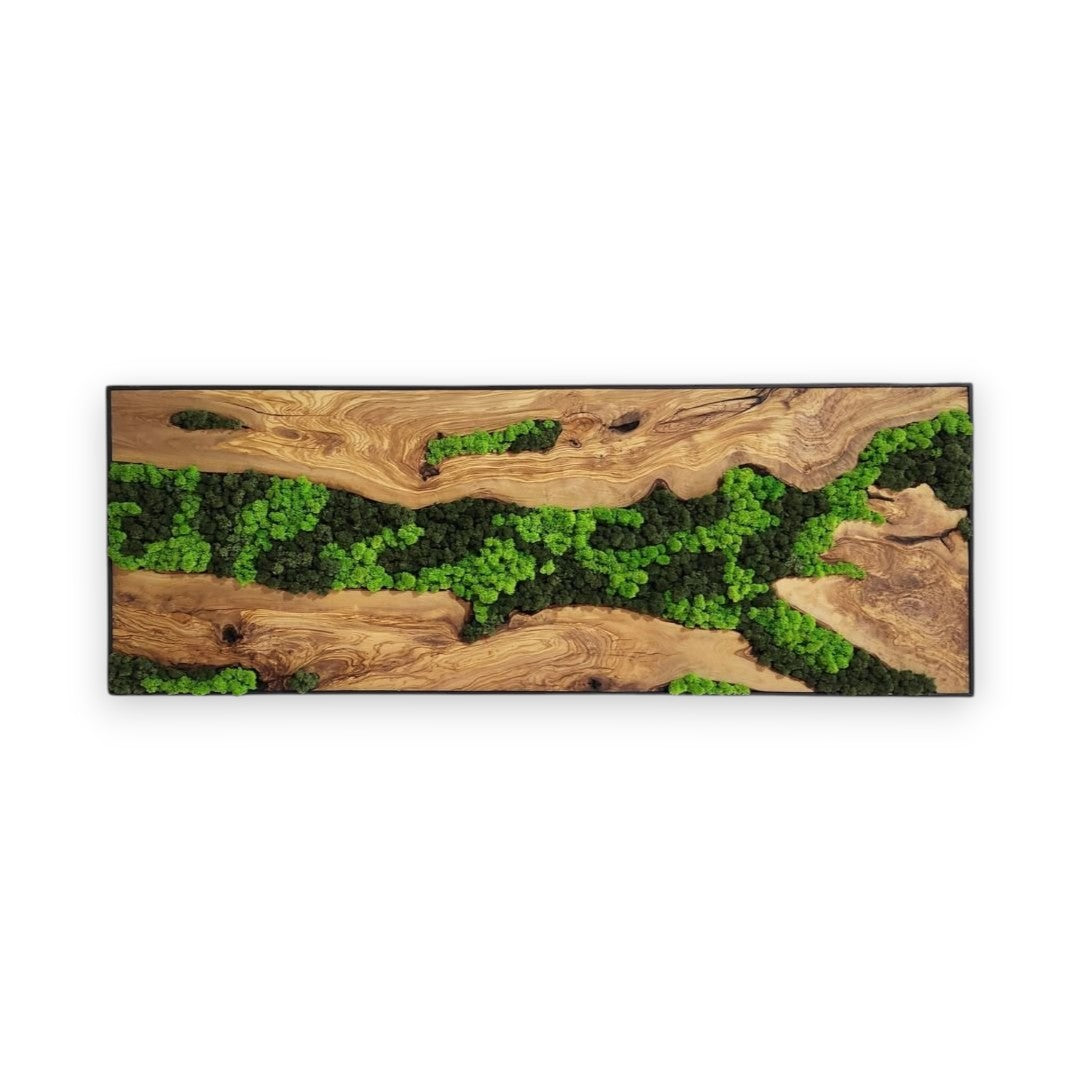 Olive Wood & Preserved Moss Wall Art | Rustic Greenery Decor