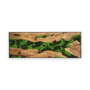 Olive Wood & Preserved Moss Wall Art | Rustic Greenery Decor