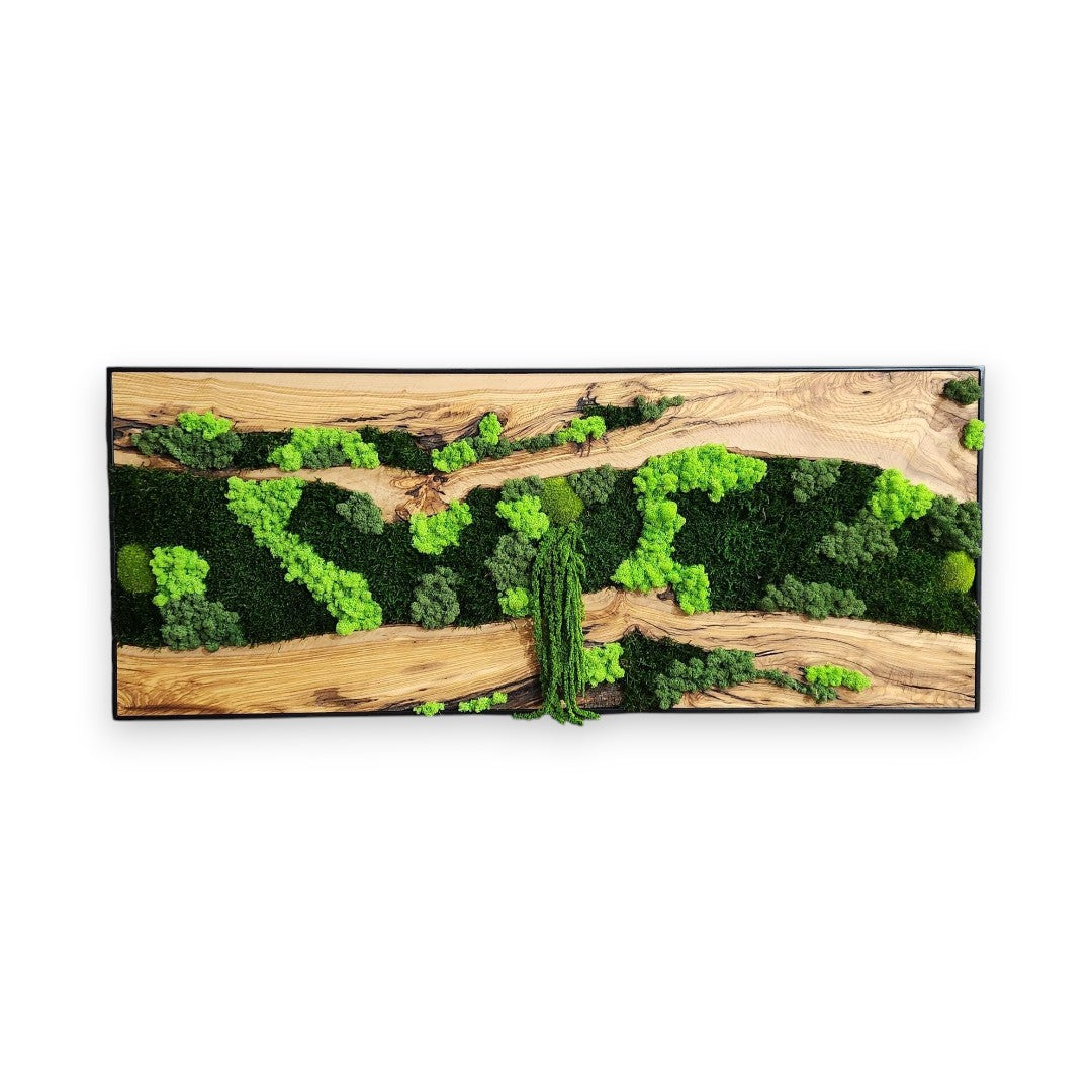 Olive Wood and Moss Wall Art | Handcrafted Rustic Home Decor