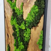 Olive Roots MOSSmood