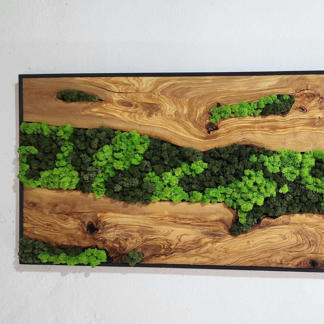 Olive Roots MOSSmood
