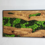Olive Roots MOSSmood